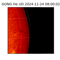 gong - 2024-11-24T08:00:02