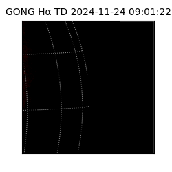 gong - 2024-11-24T09:01:22