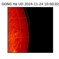 gong - 2024-11-24T10:00:02