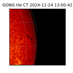 gong - 2024-11-24T13:00:42