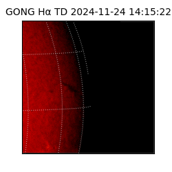 gong - 2024-11-24T14:15:22