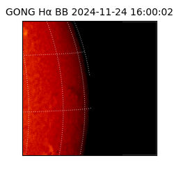 gong - 2024-11-24T16:00:02