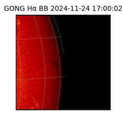 gong - 2024-11-24T17:00:02