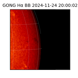 gong - 2024-11-24T20:00:02
