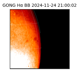 gong - 2024-11-24T21:00:02