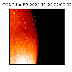 gong - 2024-11-24T22:09:02