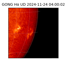 gong - 2024-11-24T04:00:02