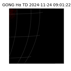 gong - 2024-11-24T09:01:22