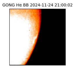 gong - 2024-11-24T21:00:02