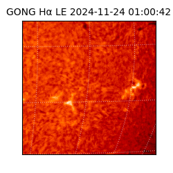 gong - 2024-11-24T01:00:42