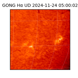 gong - 2024-11-24T05:00:02