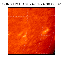 gong - 2024-11-24T08:00:02
