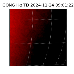 gong - 2024-11-24T09:01:22