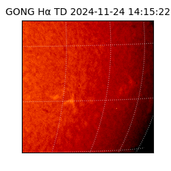 gong - 2024-11-24T14:15:22
