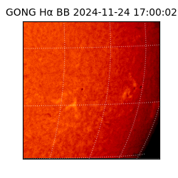 gong - 2024-11-24T17:00:02