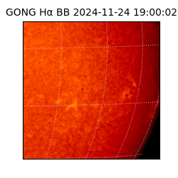 gong - 2024-11-24T19:00:02