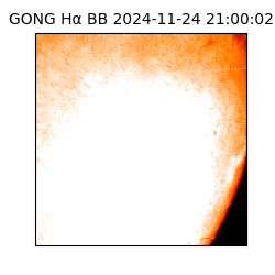 gong - 2024-11-24T21:00:02
