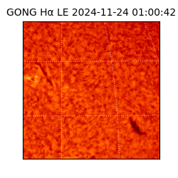 gong - 2024-11-24T01:00:42