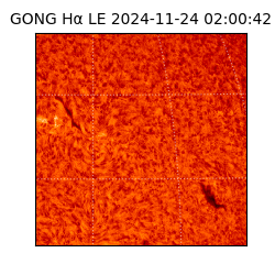 gong - 2024-11-24T02:00:42