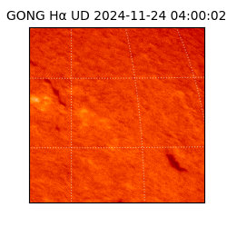 gong - 2024-11-24T04:00:02