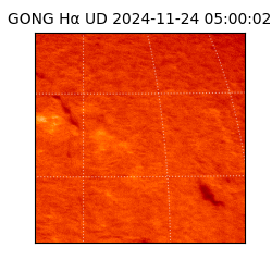 gong - 2024-11-24T05:00:02