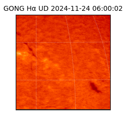 gong - 2024-11-24T06:00:02