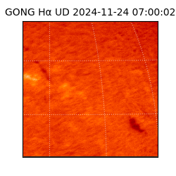 gong - 2024-11-24T07:00:02