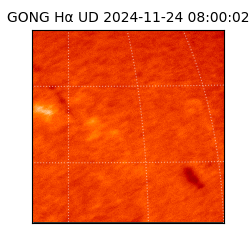 gong - 2024-11-24T08:00:02