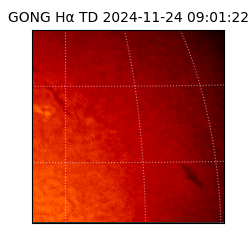 gong - 2024-11-24T09:01:22
