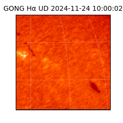 gong - 2024-11-24T10:00:02