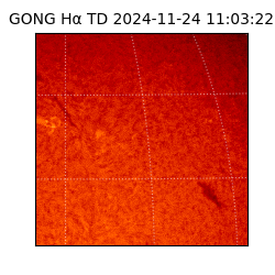 gong - 2024-11-24T11:03:22