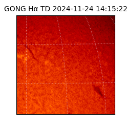 gong - 2024-11-24T14:15:22