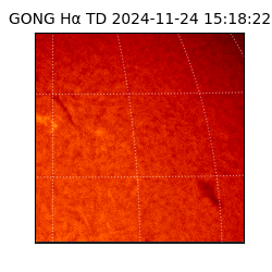 gong - 2024-11-24T15:18:22
