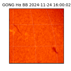gong - 2024-11-24T16:00:02