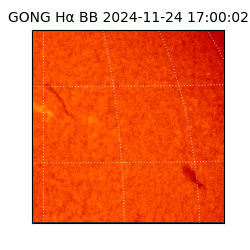 gong - 2024-11-24T17:00:02