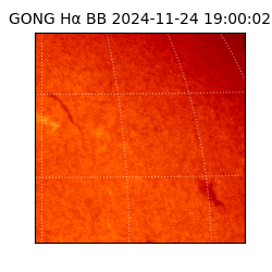 gong - 2024-11-24T19:00:02