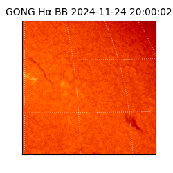 gong - 2024-11-24T20:00:02