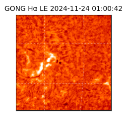 gong - 2024-11-24T01:00:42