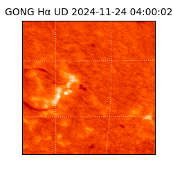 gong - 2024-11-24T04:00:02