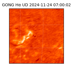 gong - 2024-11-24T07:00:02