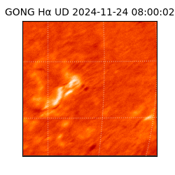 gong - 2024-11-24T08:00:02