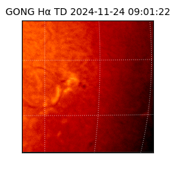 gong - 2024-11-24T09:01:22