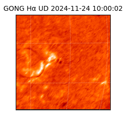 gong - 2024-11-24T10:00:02