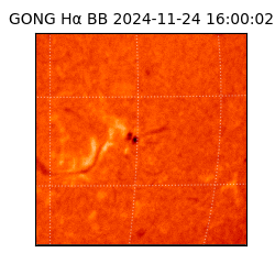 gong - 2024-11-24T16:00:02