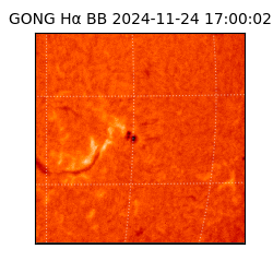 gong - 2024-11-24T17:00:02