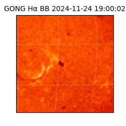 gong - 2024-11-24T19:00:02