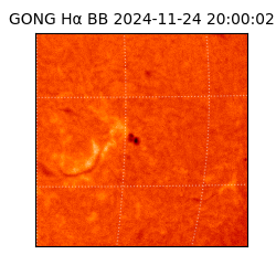 gong - 2024-11-24T20:00:02