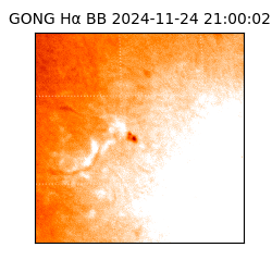 gong - 2024-11-24T21:00:02