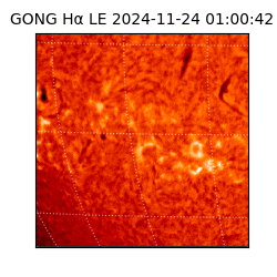 gong - 2024-11-24T01:00:42