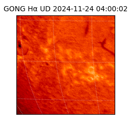 gong - 2024-11-24T04:00:02